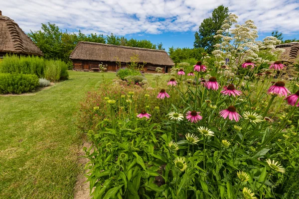 Traditioneel Dorp Polen Openluchtmuseum Houten Huizen Houten Volksarchitectuur Uit Verschillende — Stockfoto