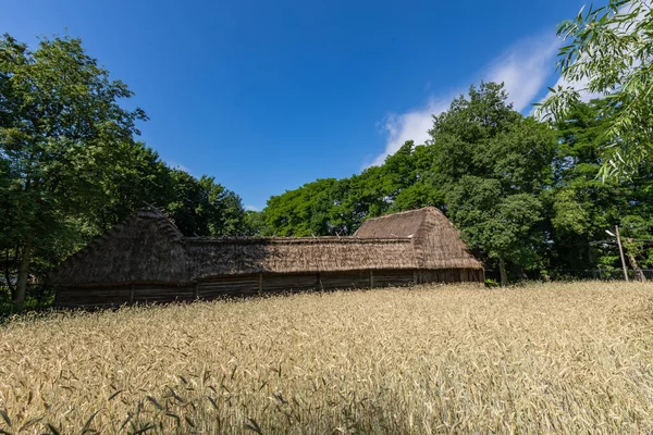 Tradiční Vesnice Polsku Open Air Museum Dřevěné Domy Dřevěná Lidová — Stock fotografie