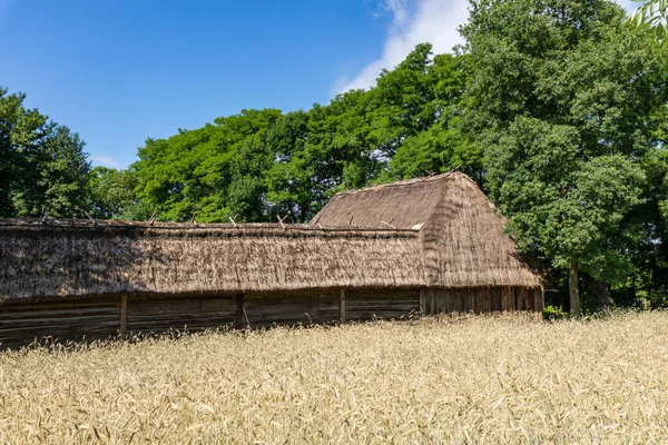 Villaggio Tradizionale Polonia Museo All Aperto Case Legno Architettura Popolare — Foto Stock