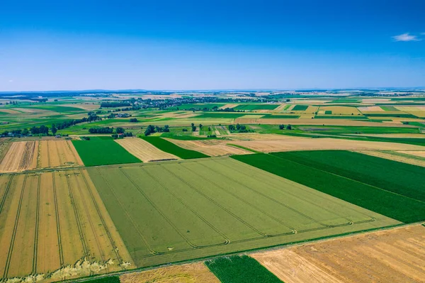 Luchtfoto Van Zomervelden Oogsttijd Velden Van Boven Landbouwvelden Een Zomerdag — Stockfoto