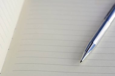 Defter kağıdındaki gümüş renkli krom kalem. Model tasarımı için boş alanı var..