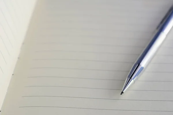 Defter kağıdındaki gümüş renkli krom kalem. Model tasarımı için boş alanı var..