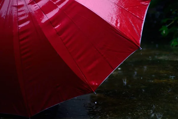 Красный Зонтик Предотвращает Дождь Ветер Концепцией Здравоохранения — стоковое фото