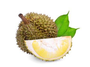 Durian tropikal meyve yeşil yaprak beyaz arka plan üzerinde izole