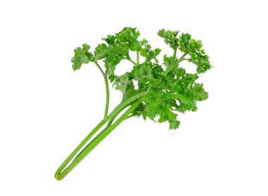 Maydanoz beyaz arkaplanda izole