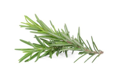 Beyaz arkaplanda biberiye izole edildi