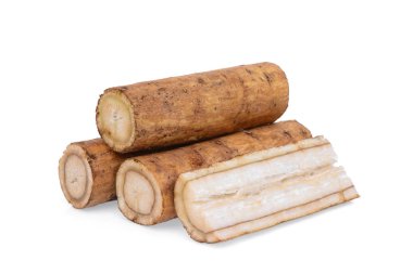 dulavratotu kökü veya beyaz arka plan üzerinde izole kobo