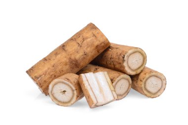 dulavratotu kökü veya beyaz arka plan üzerinde izole kobo