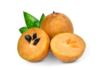 Beyaz arka plan üzerinde izole yeşil yaprakları ile Sapodilla meyve