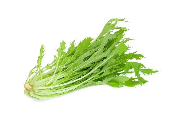 Frisches Mizuna Gemüse Isoliert Auf Weißem Hintergrund — Stockfoto