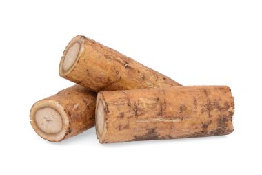 dulavratotu kökü veya beyaz arka plan üzerinde izole kobo