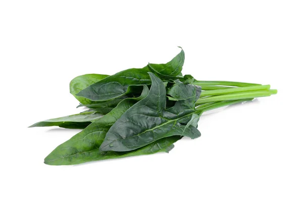 Grüner Spinat Isoliert Auf Weißem Hintergrund — Stockfoto