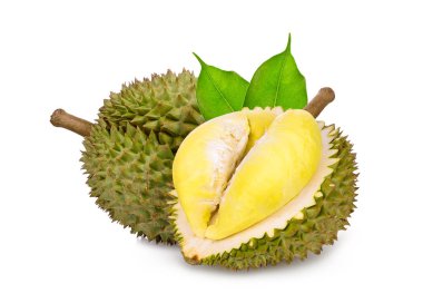 Durian tropikal meyve yeşil yaprak beyaz arka plan üzerinde izole