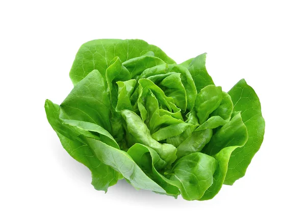 Groene Boter Sla Groente Salade Geïsoleerd Witte Achtergrond — Stockfoto