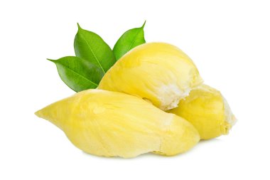 Beyaz arka planda yeşil yapraklı durian tropikal meyvesi