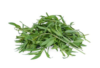 Beyaz arka plan üzerinde izole tarhun Fransızca