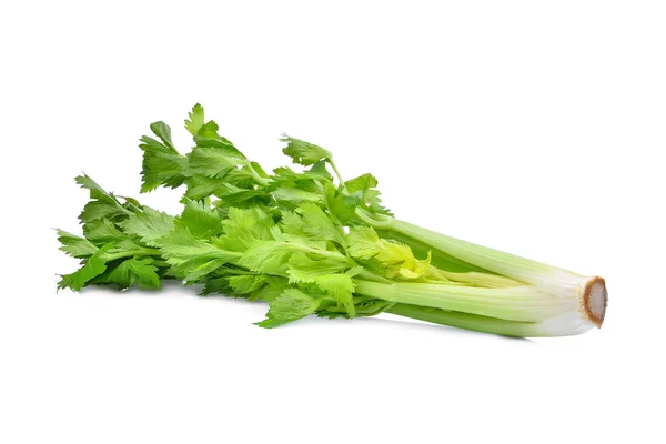 白い背景に分離された緑色のセロリの野菜 — ストック写真
