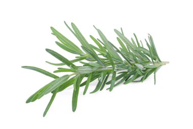 Beyaz arkaplanda taze biberiye izole edildi