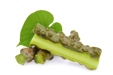 tinospora cordifolia ya da bora phet (Tay adı) yeşil yaprak beyaz arka plan üzerinde izole