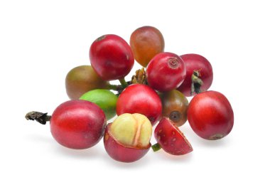 Beyaz arka plan üzerinde izole olgun kahve çekirdeği