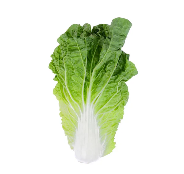 Fresh Chinese Cabbage Isolated White Background Top View Flat Lay — Stock Photo, Image