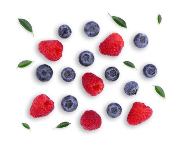 yaban mersini ve ahududu yaprak yeşil solated beyaz arka plan, üstten görünüm, düz lay ile