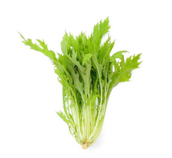 Färsk Mizuna Vegetabiliska Isolerad Vit Bakgrund — Stockfoto