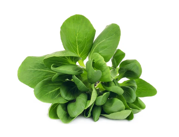 新鮮な緑青梗菜 白菜または白い背景に分離された朴チャイ — ストック写真