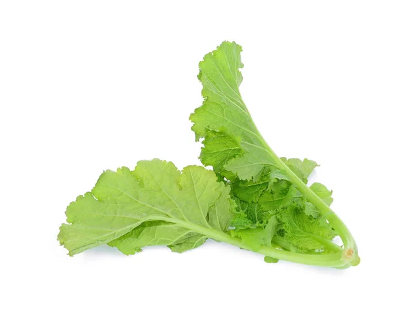 Green Mustard Vegetable Isolated White Background — Stock Photo, Image