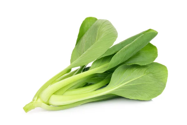 Fresh Green Bok Choy Chinese Cabbage Pak Chai Isolated White — Stock Photo, Image