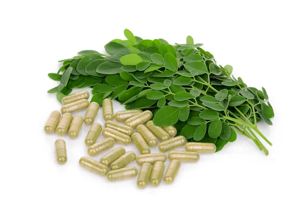 Hoja Moringa Con Cápsula Aislada Sobre Fondo Blanco —  Fotos de Stock