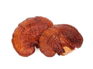 dried lingzhi mushroom isolated on white background clipart