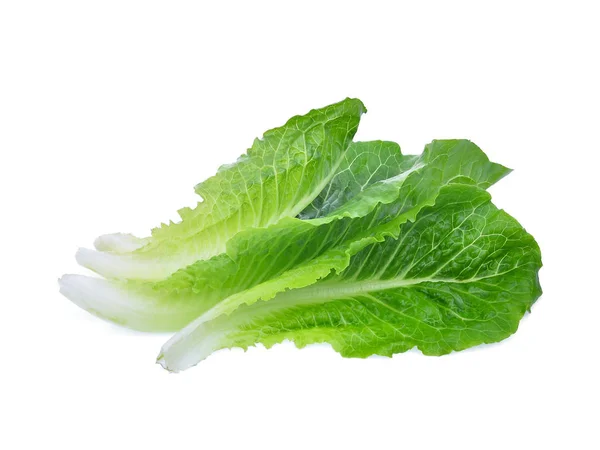 Fresh Baby Cos Lettuce Leaf Isolated White Background — Stock Photo, Image