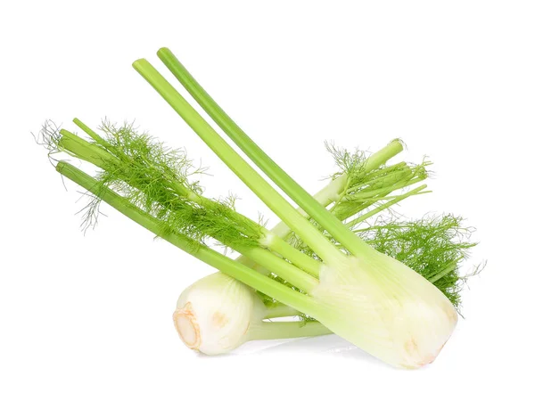白い背景に分離された新鮮なフェンネル野菜 — ストック写真