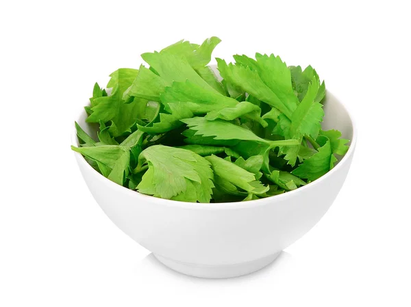 Coriander Leaves White Bowl Isolated White Background — Stock Photo, Image