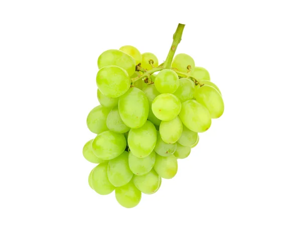 Green Grape Isolated White Background — Stock Photo, Image