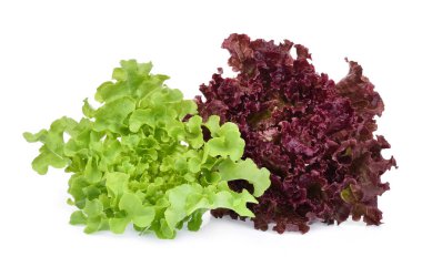 Resh kırmızı ve yeşil mercan salata veya beyaz arka plan üzerinde izole kırmızı marul