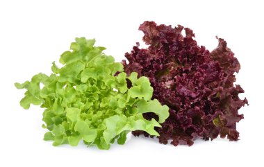 resh red and green coral salad or red lettuce isolated on white background clipart