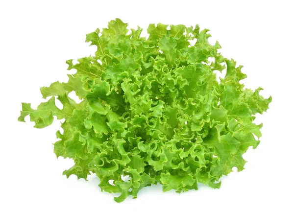 Frischer Grüner Eichensalat Isoliert Auf Weißem Hintergrund — Stockfoto