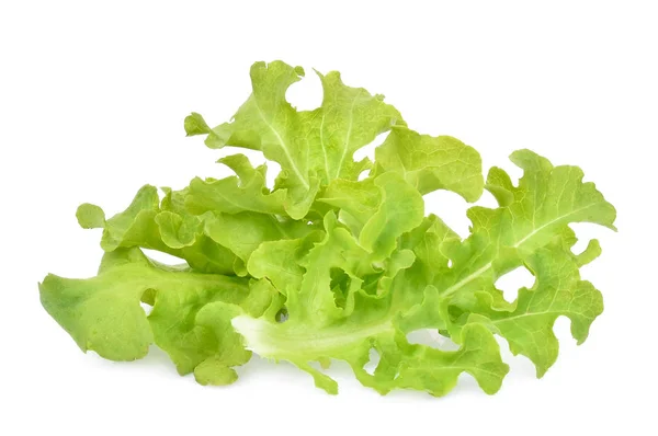 Friss Zöld Saláta Tölgy Elszigetelt Fehér Background — Stock Fotó