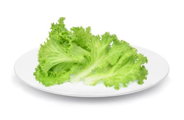 Beyaz tabakta izole beyaz tabak taze yeşil meşe marul