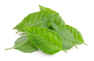 Beyaz arka plan üzerinde izole fesleğen yaprağı