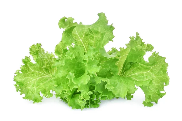 Lechuga fresca de roble verde aislada sobre fondo blanco — Foto de Stock