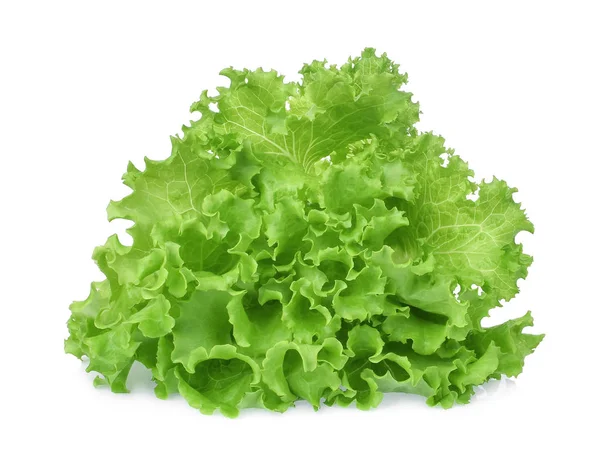 Fresh green oak lettuce isolated on white background — Stock Photo, Image