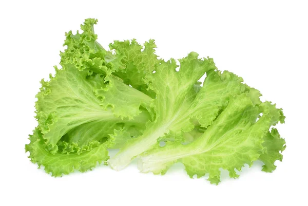 Fresh green oak lettuce isolated on white background — Stock Photo, Image