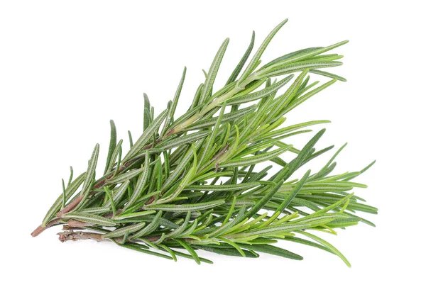 Twig of fresh rosemary isolated on white background — Stockfoto