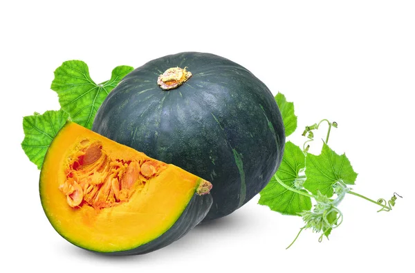 Whole and slice green pumpkin with leaf isolated on white backgr — 스톡 사진