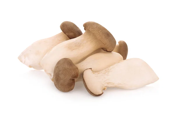 King oyster mushroom isolated on white background — Stock Photo, Image