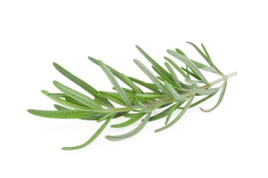 Beyaz arkaplanda taze biberiye izole edildi