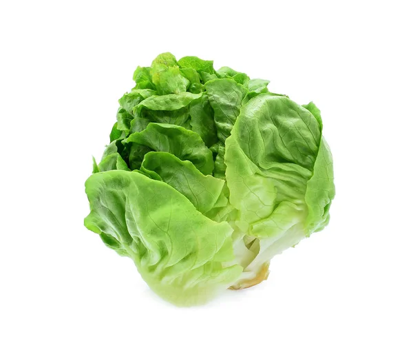 Verde bebê cos alface vegetal isolado no fundo branco — Fotografia de Stock